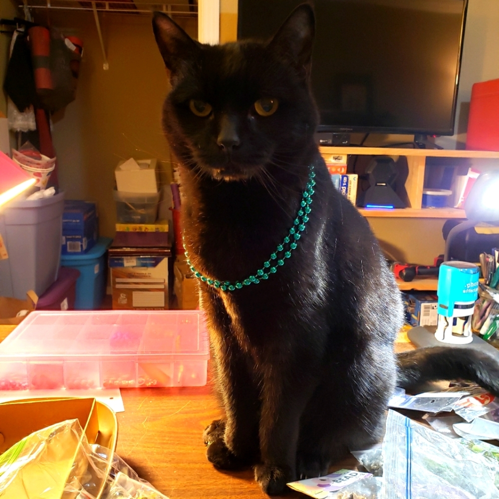 Meet your Posher, Jennifer